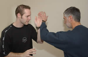 Example of martial arts used